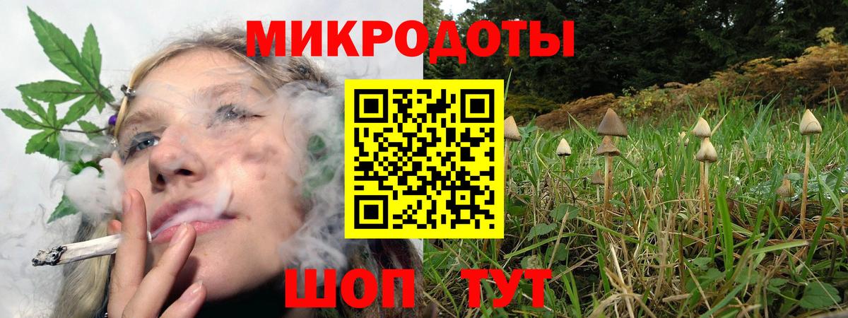 Псилоцибиновые грибы мицелий Нарткала