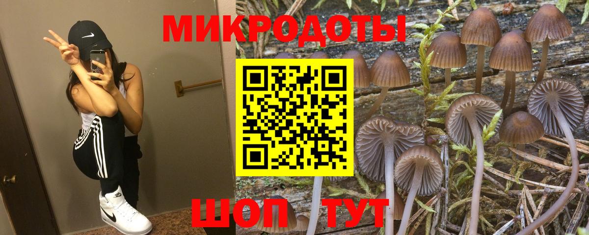 Галлюциногенные грибы Cubensis  Вход с VPN  Нарткала 